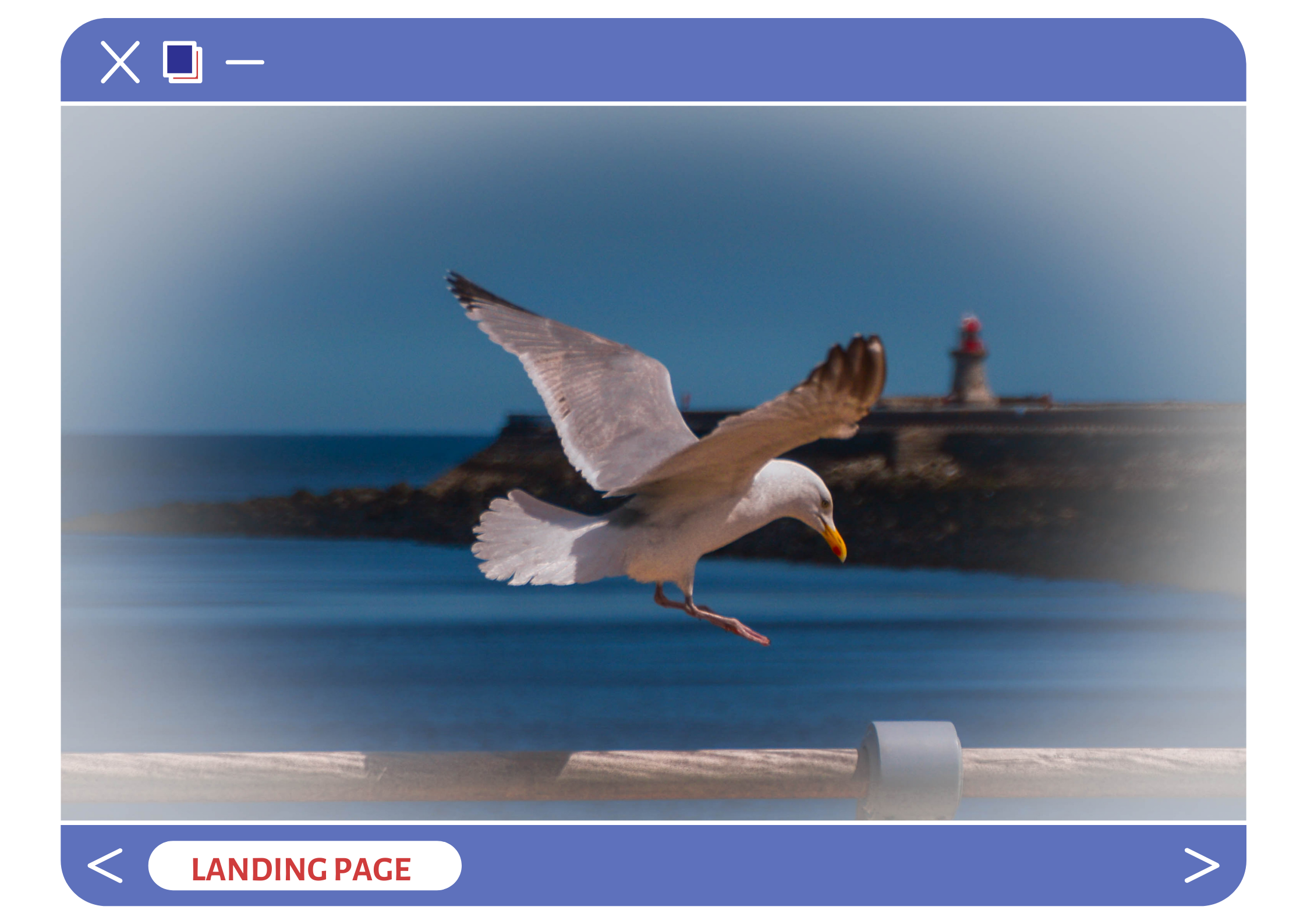Image d'une page d'ordinateur avec un oiseau qui atterrit pour illustrer le concept de landing page